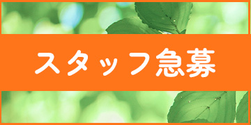 スタッフ急募